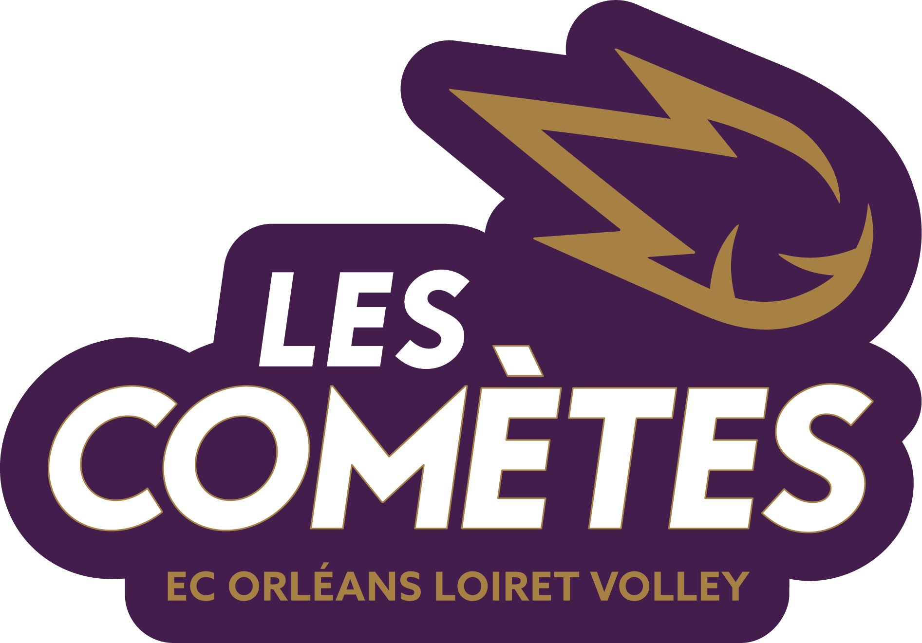 Logo Les Comètes